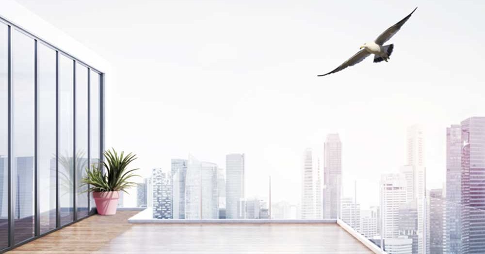 BirdSecure® Pro: Advanced Interlayer Solutions Division