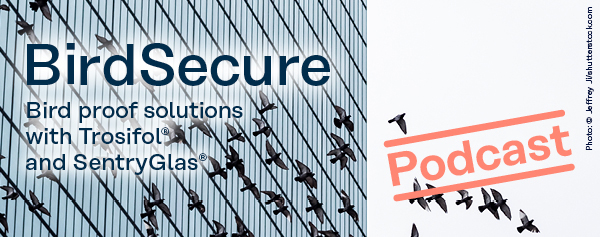 Listen to our podcast about BirdSecure